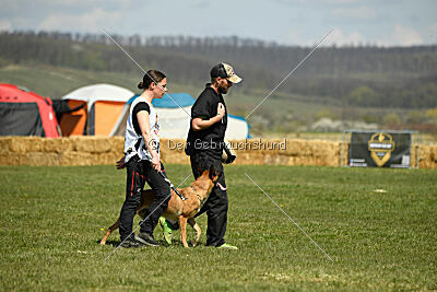 Avonwolf Deliverance