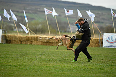 Avonwolf Delta Warrior