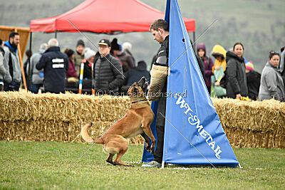 Avonwolf Gallant Opie