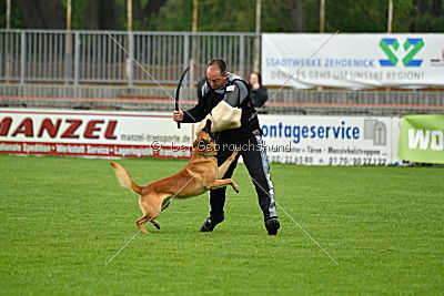 Axel von der Naturgewalt