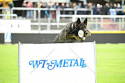 Axl vom Traunsteinblick