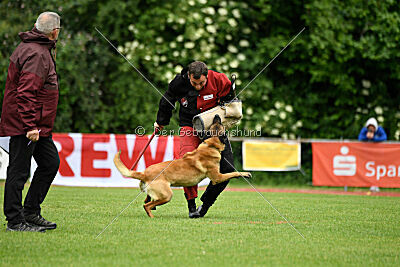 Axxo von Löwenfels