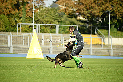 Aye vom Niedersachsenstein