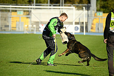 Aye vom Niedersachsenstein