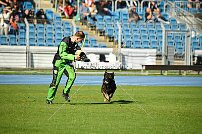 Aye vom Niedersachsenstein