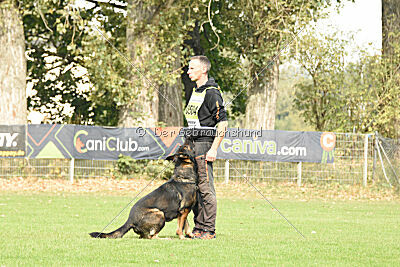 Aye vom Niedersachsenstein