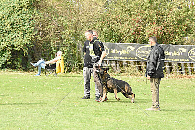 Aye vom Niedersachsenstein