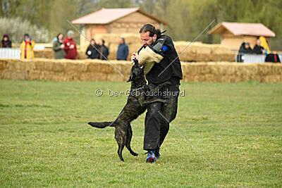 Ayumi vom Scheinwerferberg