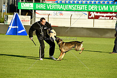 Azeem von der Michelbacher Heide