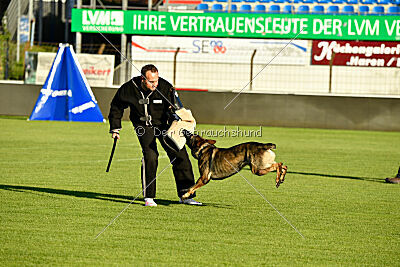 Azeem von der Michelbacher Heide