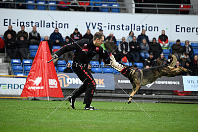 Bacchus vom Drachenkar