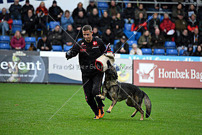 Bacchus vom Drachenkar