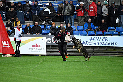 Bacchus vom Drachenkar