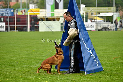 Bacima Cri de Loup