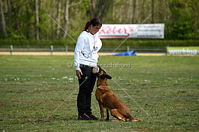 Bacima Cri de Loup