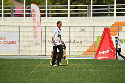 Bagdad vom Clan der Wölfe