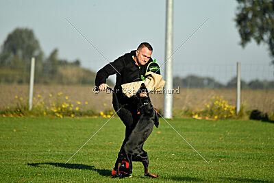 Baghira vom Schildwall