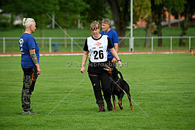 Baghira vom Schildwall