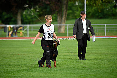 Baghira vom Schildwall