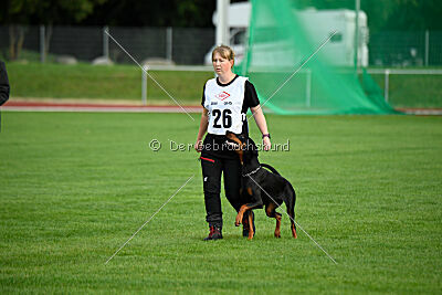 Baghira vom Schildwall