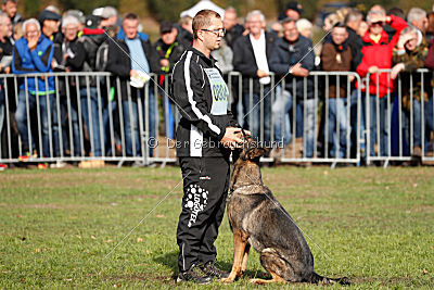 Baghira vom Wolfsstolz