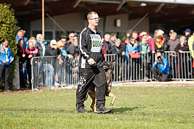 Baghira vom Wolfsstolz