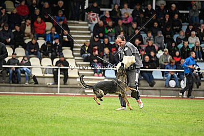 Baghira vom Wolfsstolz