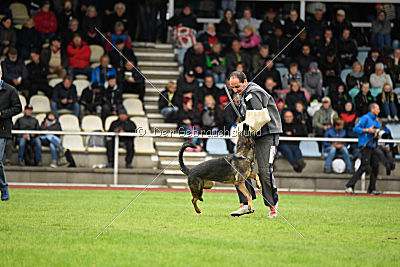 Baghira vom Wolfsstolz