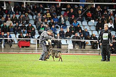 Baghira vom Wolfsstolz