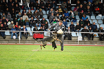 Baghira vom Wolfsstolz
