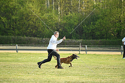 Bailo de la frisone liberte