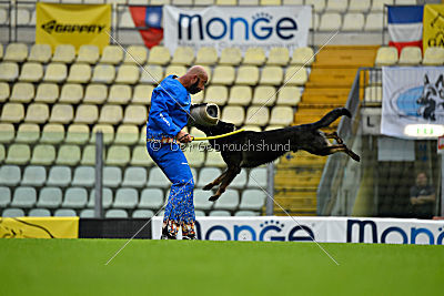 Bait fom Grunen Stadt