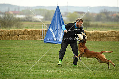 Baku Gods of Hermannstadt