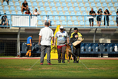 Baku Gods of Hermannstadt