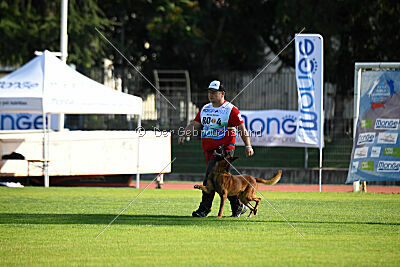 Baku Gods of Hermannstadt
