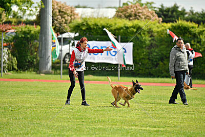 Baldur Force of Destiny