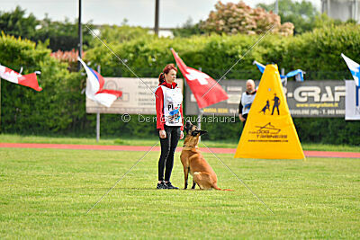 Baldur Force of Destiny