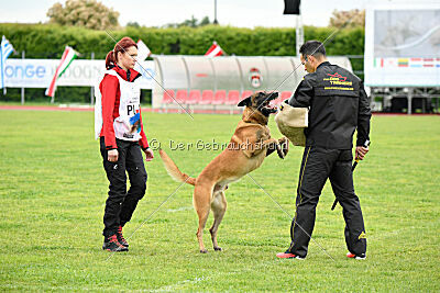 Baldur Force of Destiny