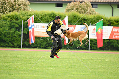 Baldur Force of Destiny