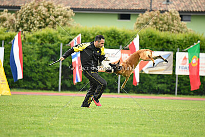 Baldur Force of Destiny