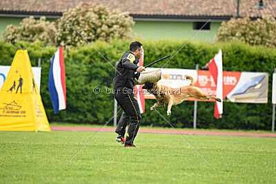 Baldur Force of Destiny