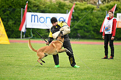 Baldur Force of Destiny