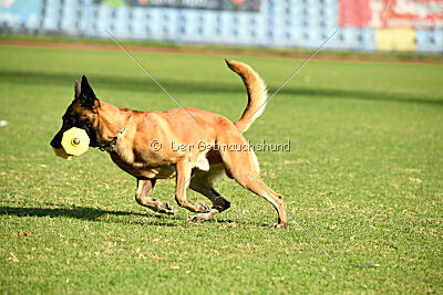 Baldur Force of Destiny