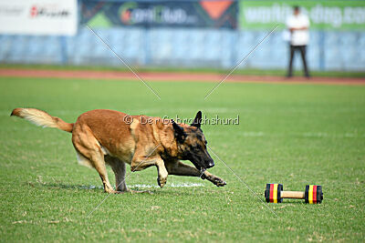 Baldur Force of Destiny