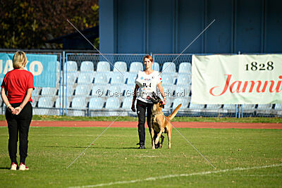 Baldur Force of Destiny