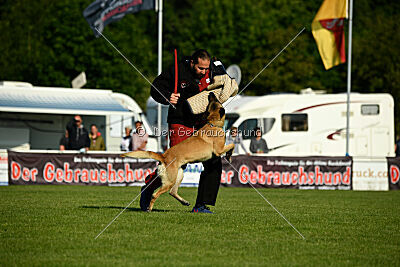 Bali vom Mittelpunkt