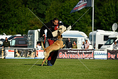 Bali vom Mittelpunkt