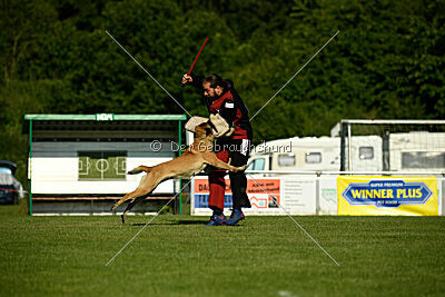 Bali vom Mittelpunkt