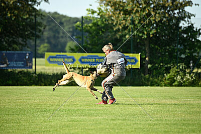 Bali vom Mittelpunkt