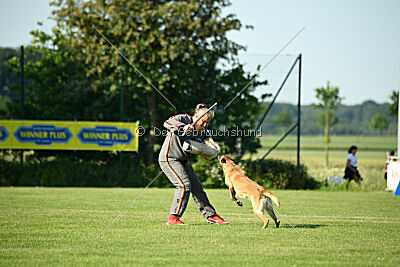 Bali vom Mittelpunkt